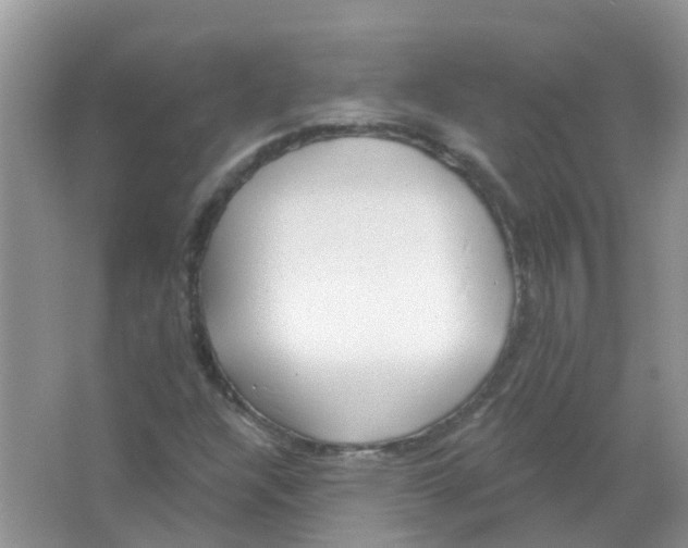 X0000063491304200602172040