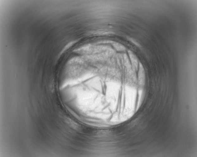 X0000063491306200602172040