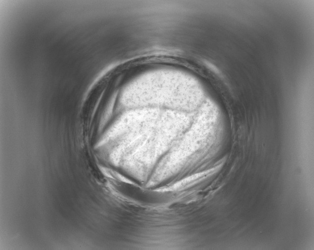 X0000063491310200602172040