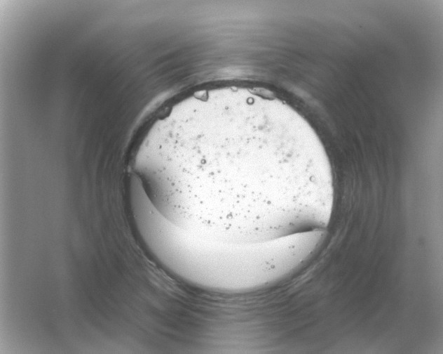 X0000063491314200602172040