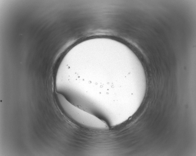 X0000063491317200602172040