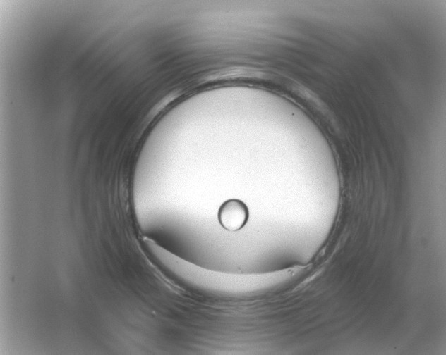 X0000063491321200602172040