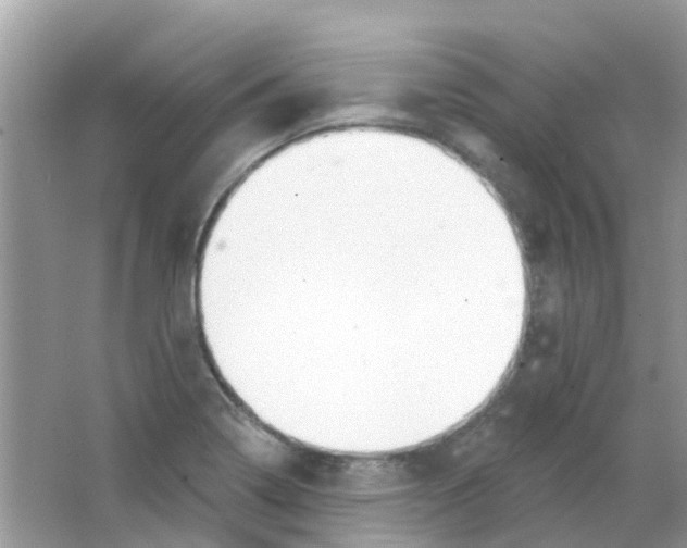 X0000063491322200602172040