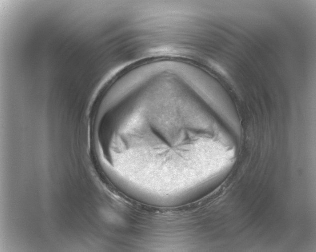 X0000063491323200602172040