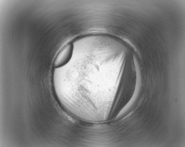 X0000063491325200602172040