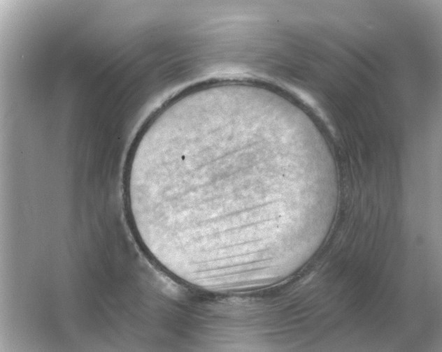 X0000063491327200602172040