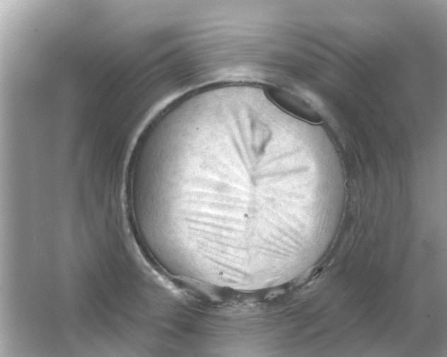 X0000063491331200602172040