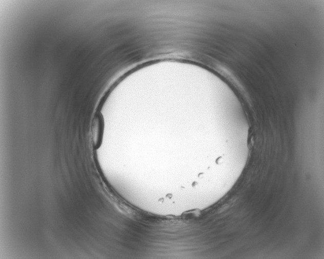 X0000063491332200602172040