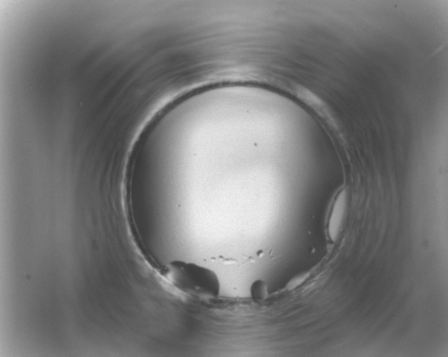 X0000063491334200602172040