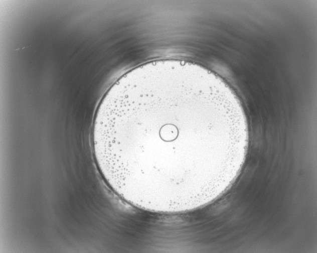 X0000063491338200602172040