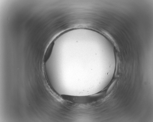 X0000063491340200602172040