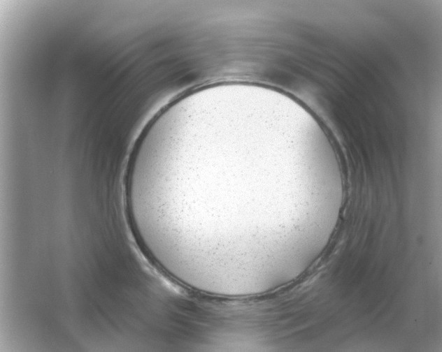 X0000063491341200602172040