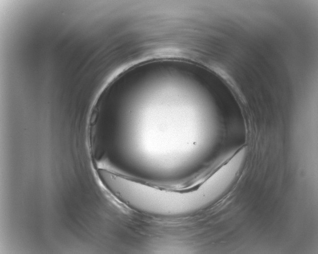 X0000063491342200602172040