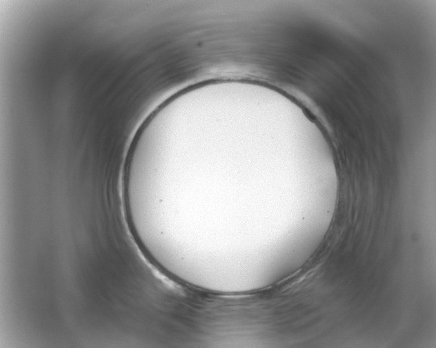 X0000063491343200602172040