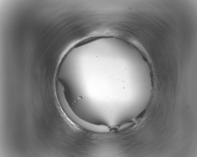 X0000063491344200602172040