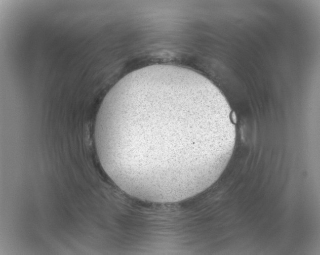 X0000063491347200602172040