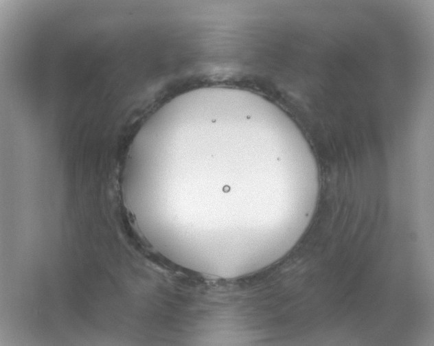 X0000063491349200602172040