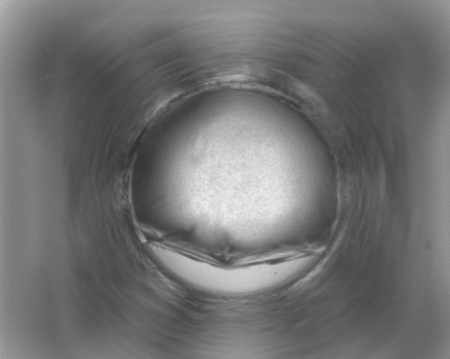 X0000063491353200602172039