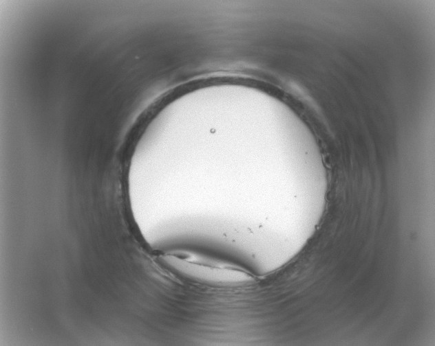 X0000063491360200602172039