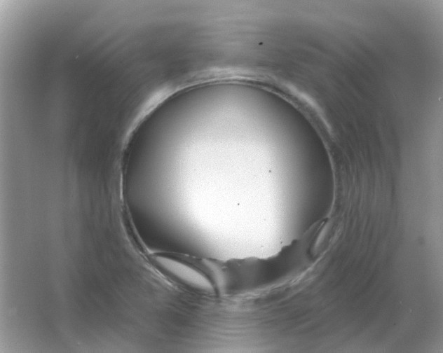 X0000063491365200602172039