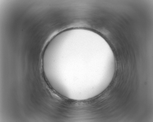 X0000063491366200602172039