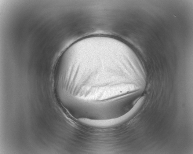 X0000063491367200602172039