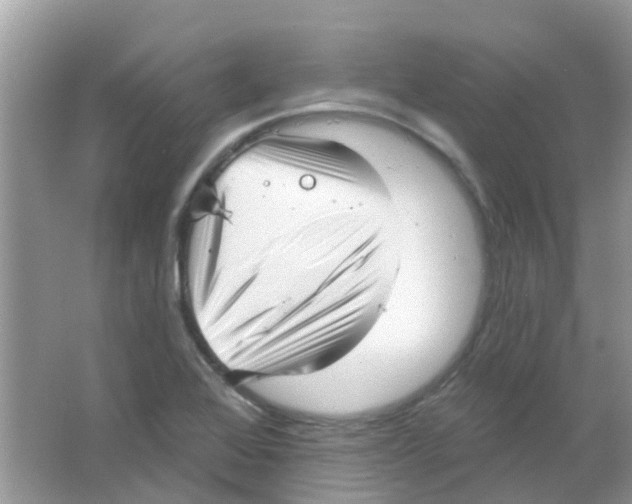 X0000063491368200602172039