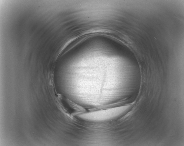 X0000063491369200602172039