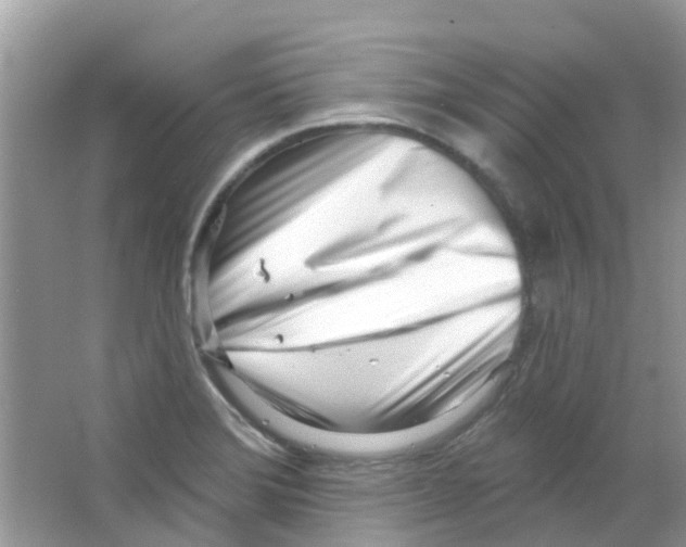 X0000063491372200602172039