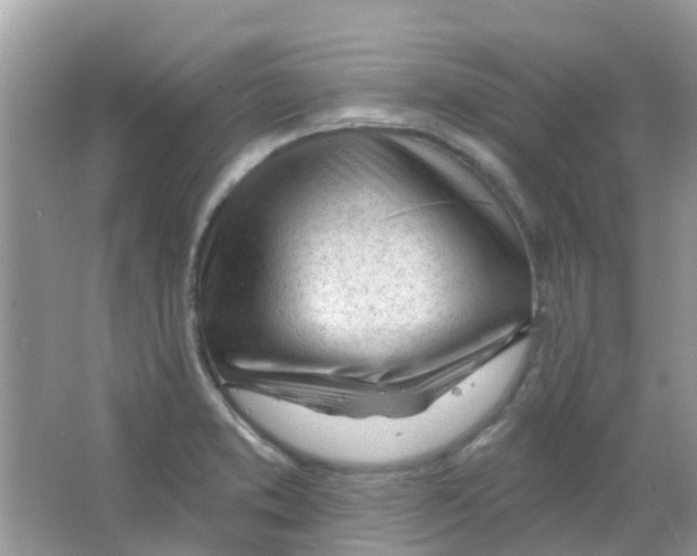 X0000063491373200602172039