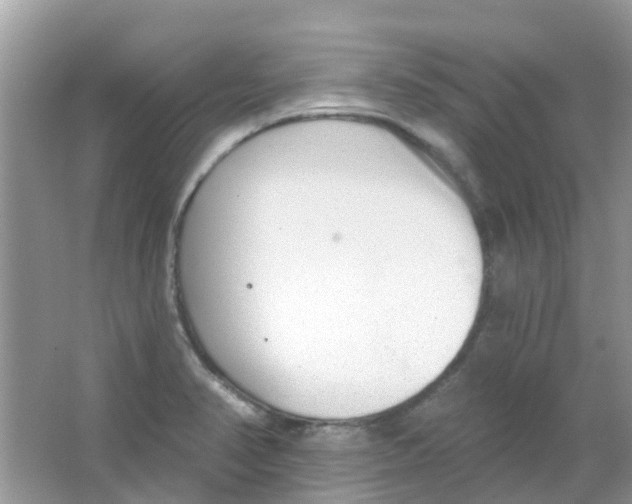 X0000063491374200602172039