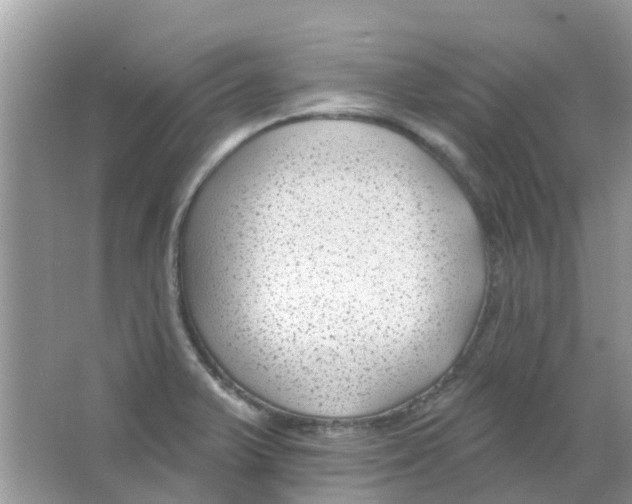 X0000063491375200602172039