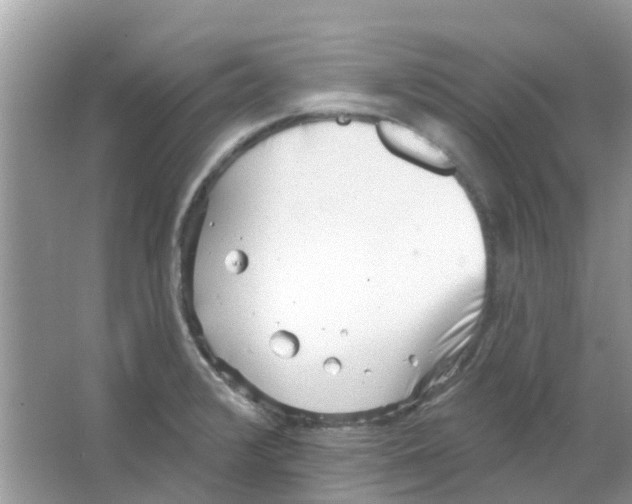 X0000063491376200602172039