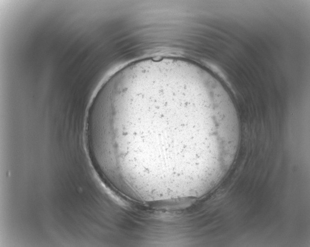 X0000063491379200602172039