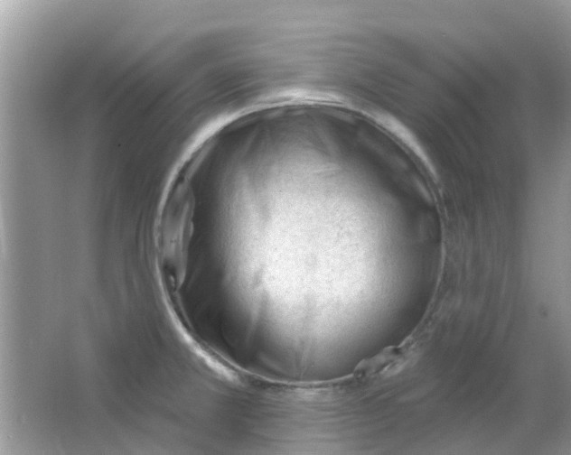 X0000063491381200602172039