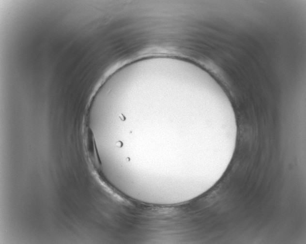 X0000063491382200602172039