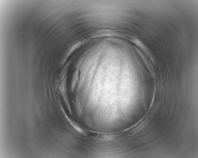 X0000063491385200602172039