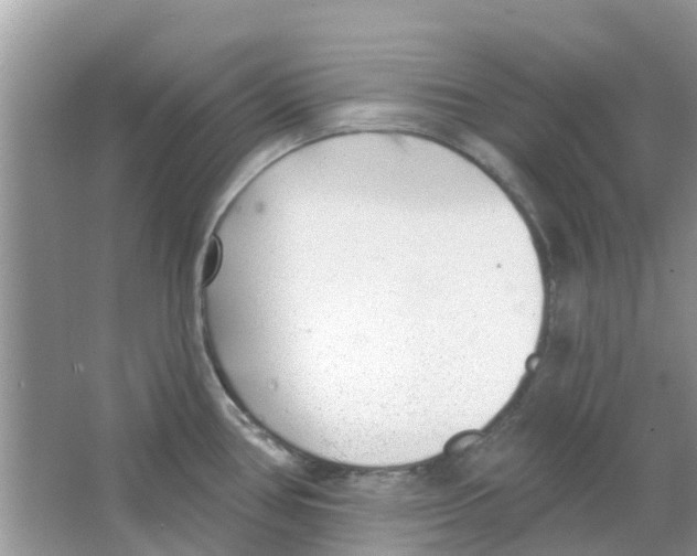 X0000063491386200602172039