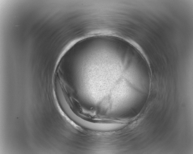 X0000063491389200602172039