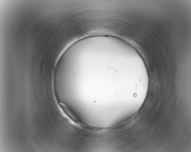 X0000063491390200602172039