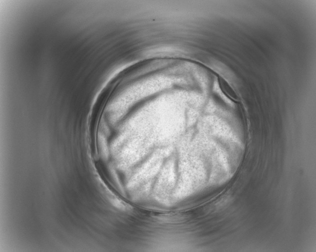 X0000063491392200602172039