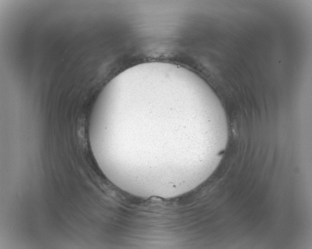 X0000063491396200602172038