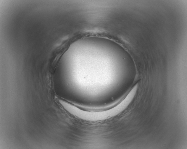 X0000063491398200602172038