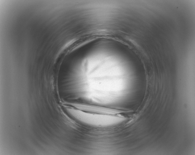 X0000063491402200602172038