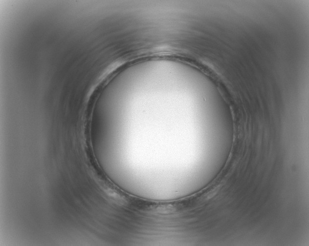 X0000063491410200602172038