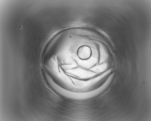 X0000063491415200602172038