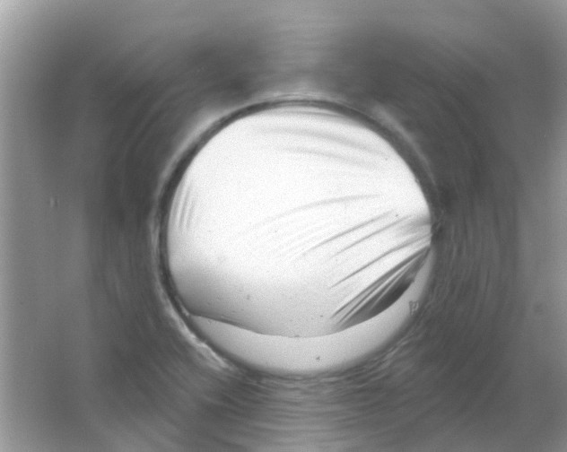 X0000063491416200602172038