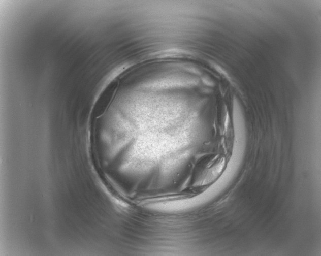 X0000063491418200602172038