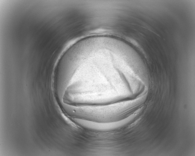 X0000063491421200602172038