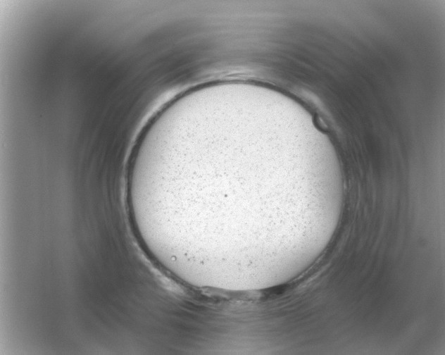 X0000063491424200602172038